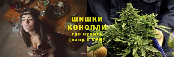 jwh Белокуриха