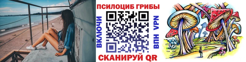 Псилоцибиновые грибы ЛСД Лабинск