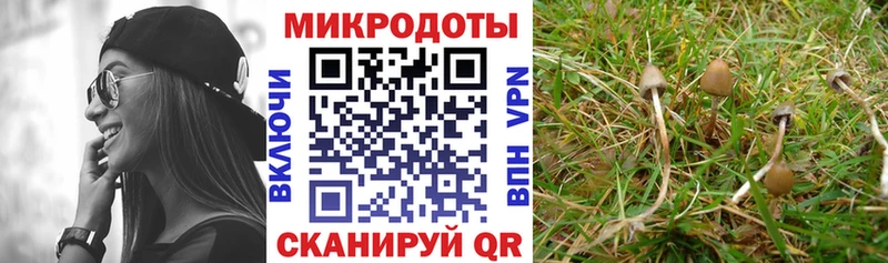 Псилоцибиновые грибы GOLDEN TEACHER  Купить  Лабинск 